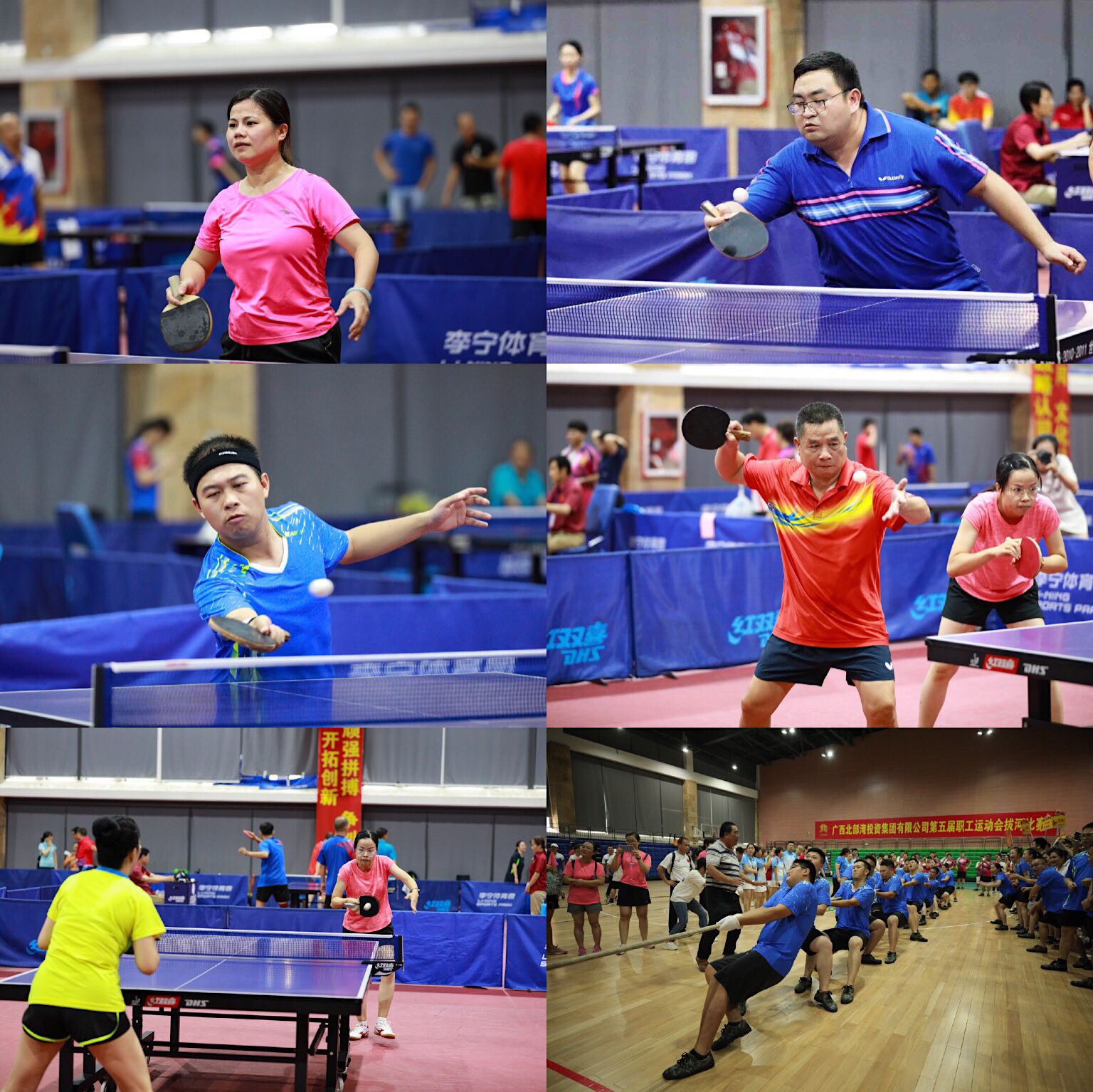 新宝GG—创立事业平台