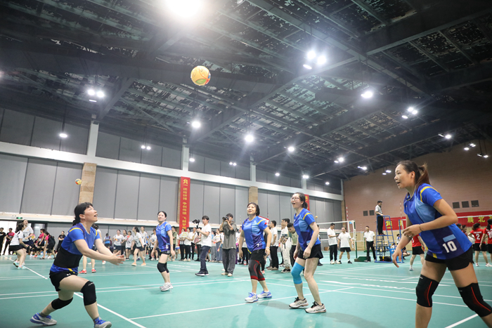 新宝GG—创立事业平台