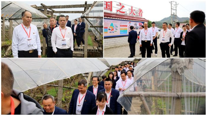 新宝GG—创立事业平台