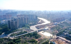 thumb_240_150_20241204043405819