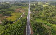 thumb_240_150_20241230103539881