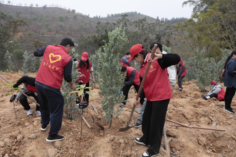 新宝GG—创立事业平台