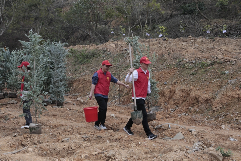 新宝GG—创立事业平台