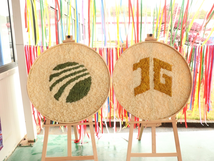 新宝GG—创立事业平台