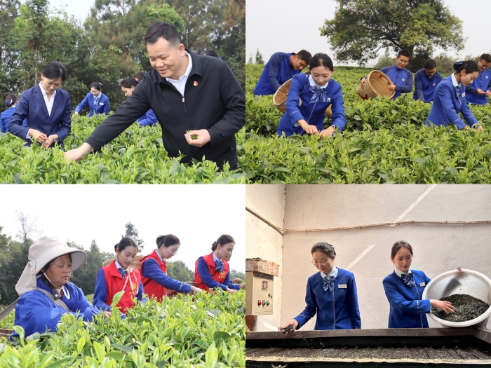 新宝GG—创立事业平台