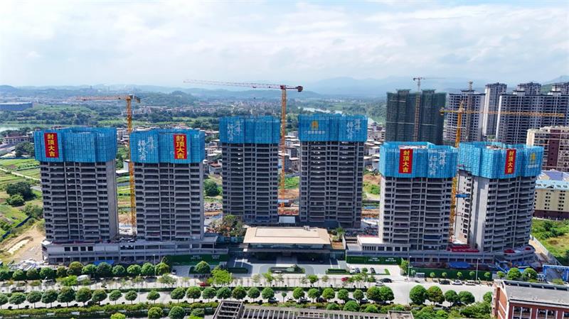 新宝GG—创立事业平台